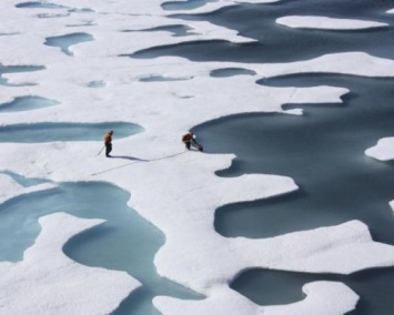 Ученые: Арктические льды стремительно тают