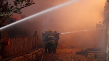 Пожары в Израиле: арестованы подозреваемые в поджогах