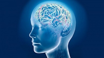 Медики из США успешно провели новый тип операции на головном мозге