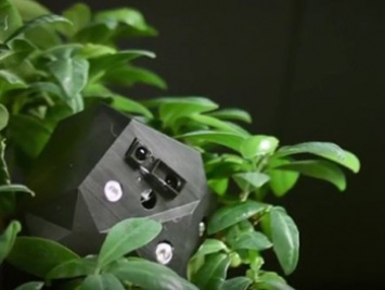 Растения-роботы собираются создавать европейские ученые