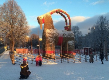 В Швеции Рождественского козла оснастили веб-камерами, чтобы он мог простоять до Нового года