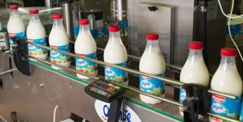 Счетная палата выявила двукратный рост стоимости молока на пути до магазинов