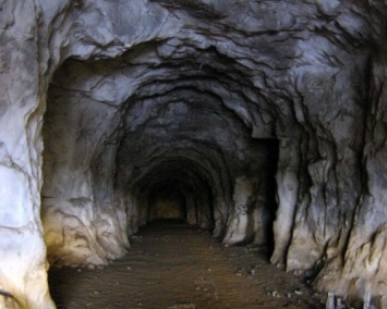 В Хорватии в далмацких пещерах нашли новых животных