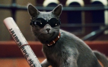В Instagram появился аккаунт с пародиями на популярные фильмы с кошками