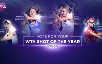 Лучший удар года по версии WTA. Финальная группа