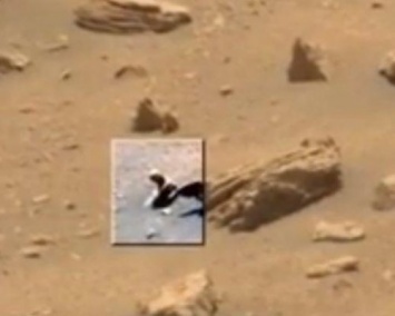 На поверхности Марса обнаружена окаменевшая ящерица
