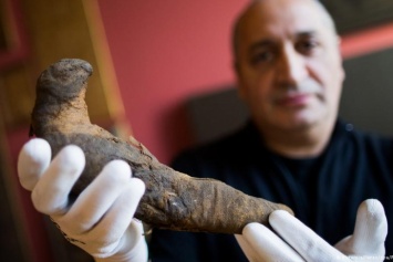 Мумию египетского сокола, которой 2 тыс. лет, нашли в Германии