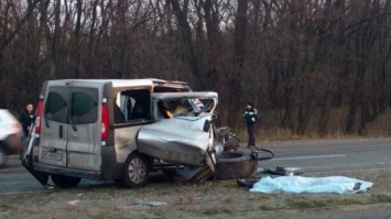 Смертельная авария под Днепром: грузовик раздавил микроавтобус (фото)