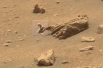 На Марсе обнаружили окаменелую ящерицу