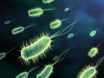 Ученые нашли бактерию возрастом более 2,5 миллиардов лет
