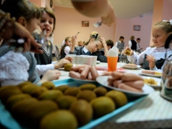Местные чиновники не имеют права отстраняться от проблем некачественного питания в школах - нардеп
