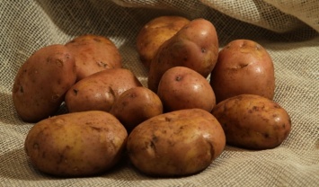 Украинцев предупредили о подорожании картошки