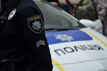 В Запорожье пьяный заводчанин оплевал патрульных и разбил служебное авто