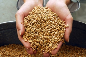 Аграрный фонд взял кредит у Укргазбанка под залог зерна