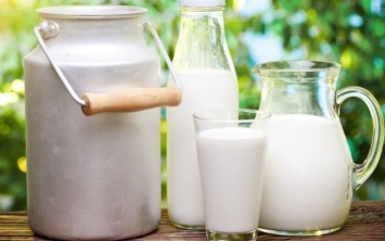 Ученые заявили о пользе молока для мозга