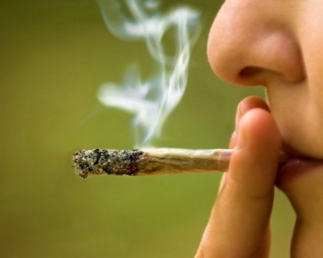Ученые: Курильщики марихуаны имеют крайне низкий приток крови в мозге