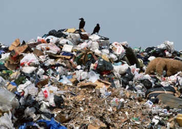 Дорожники Запорожской области вывезли 780 тонн мусора за месяц