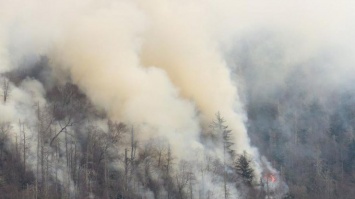 Торнадо и лесные пожары в США: погибли 10 человек