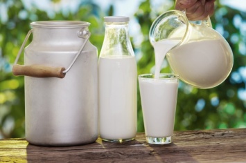 Ученые отметили пользу молока для работы мозга