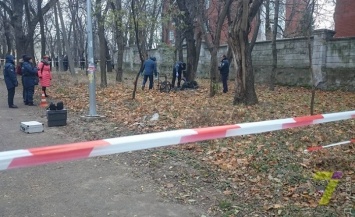 В парке Шевченко обнаружили обугленные останки человека