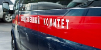 СК начал проверку после публикации видео избиения 13-летней школьницы в Новосибирске