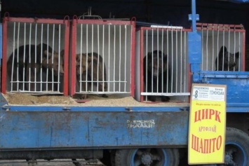 В Луцке запретили передвижные цирки