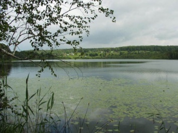 Томская прокуратура потребовала вернуть озеро в федеральную собственность