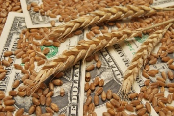 В 2017 году на бирже могут начать торги фьючерсами на зерно