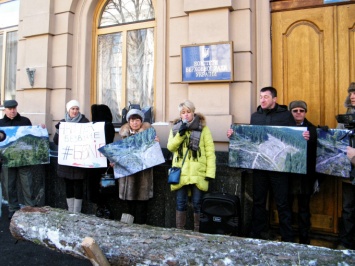 Протест в Киеве: активисты пытались пристыдить депутатов перспективой "лысых" Карпат