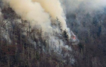 В Теннесси объявлено чрезвычайное положение из-за лесных пожаров