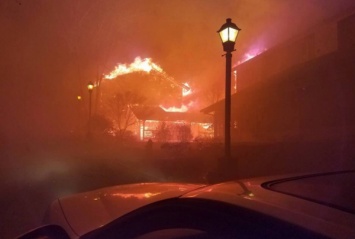 Задержали виновника лесных пожаров в Теннесси, где погибли 11 человек