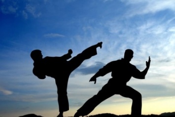 Юные херсонские каратисты стали призерами на на чемпионате Европы по киокушин карате