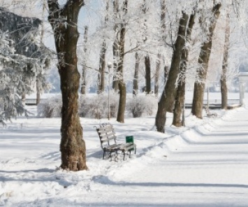 В Днепровском районе на 13 гектарах появится парк