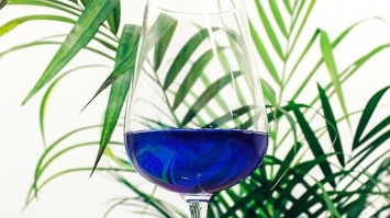 В Испании создали вино ярко-синего цвета (фото)