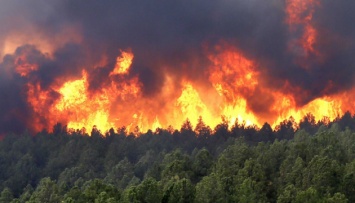 Лесной пожар в Теннесси: погибших уже 13, тысячи домов уничтожены