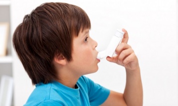 Ученые: Причиной приступов астмы в школе могут быть мыши