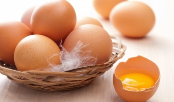 Ученые рассказали об удивительном свойстве яиц