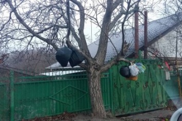 Херсонцы украшают деревья мусором (фото)