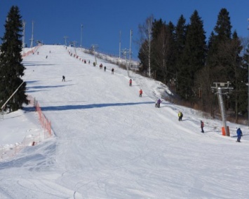 В Москве лыжный комплекс открылся в парке Олимпийской деревни