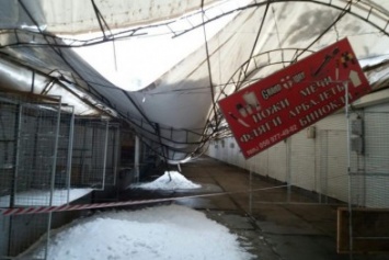 Упавший на "Барабашово" участок крыши демонтируют. Часть павильонов будет закрыта