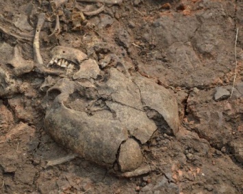 Археологи доказали оседлый образ жизни индоевропейцев в Тульской области