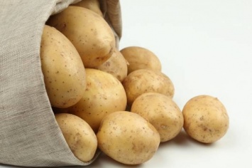 Разгрузочный день на картофеле