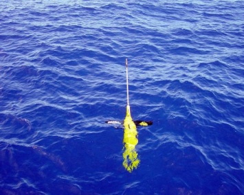 Ученые: Создано новое звукозаписывающее устройство для исследований под водой