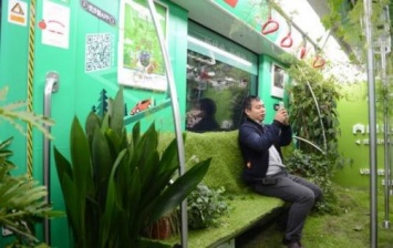 В китайском метро на один день вырос лес (фото)