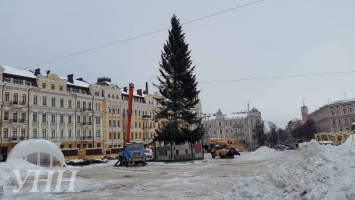 На Софийской площади главную елку прикрепят канатами от ветра