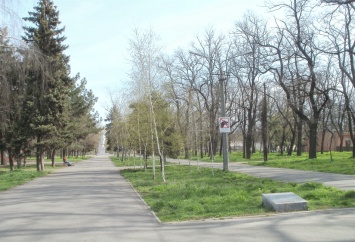 В парке Савицкого появятся стоянки, велодорожки и площадки для ярмарок