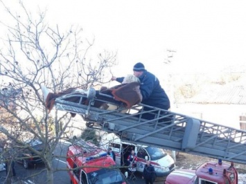 Курьез в Херсоне: 80-летняя старушка залезла на крышу дома и там застряла. Снимать ее пришлось спасателям