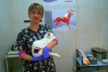 Милосердие: в Черноморске уже месяц проходит акция по бесплатной стерилизации бездомных животных (фото)