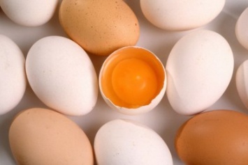 Из-за птичьего гриппа в Украине могут резко упасть цены на яйца