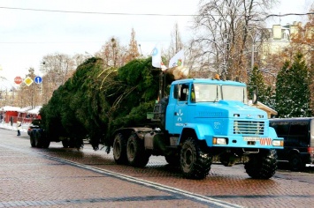 Киевляне требуют заменить главную елку города на искусственную